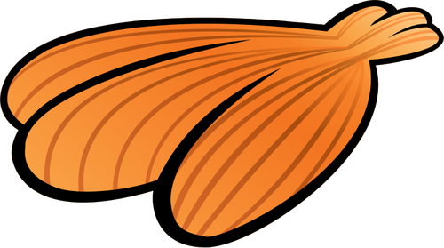 Image de coquille de mer orange d