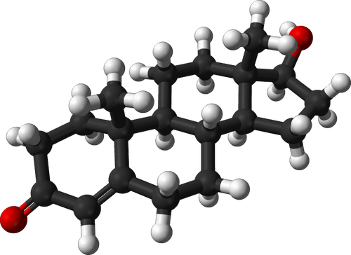 Molécula de la testosterona 3d
