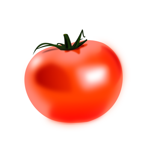 Vektortegning av skinnende tomat