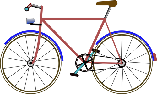 Color bicycle vector image