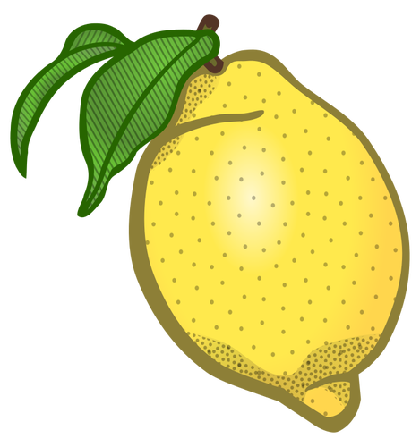 Lemon vector clip art