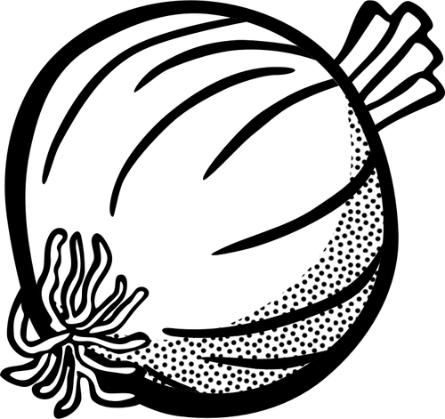 Obraz cebuli w czerni i bieli
