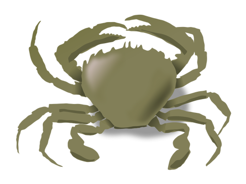 Vector de desen de crab
