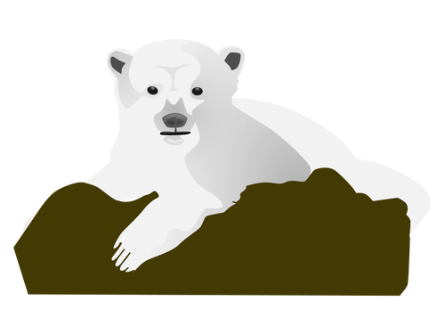 Полярный медведь векторное изображение