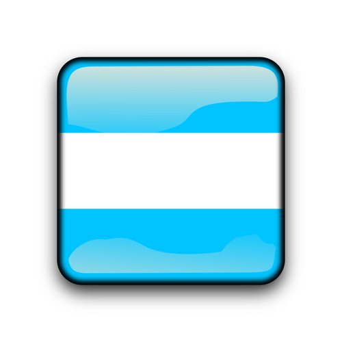 Argentinien glänzend Knopf Fahne