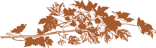 Ilustración vectorial de hojas de otoño marrón