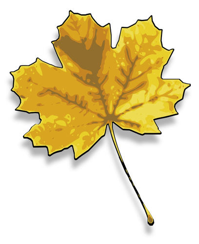 Фотореалистичные желтый кленовый лист векторное изображение