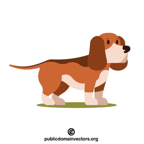 Basset hound dog vector