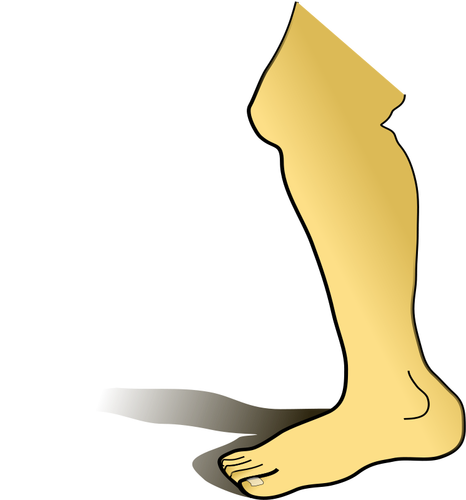 Imagen vectorial de pierna humana