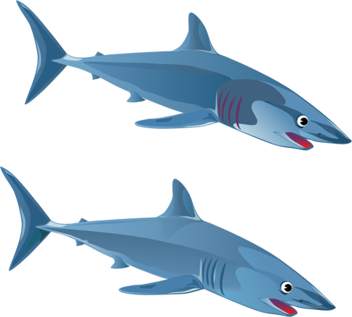 Two sharks