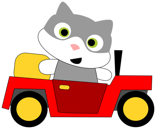 Cat driving a car