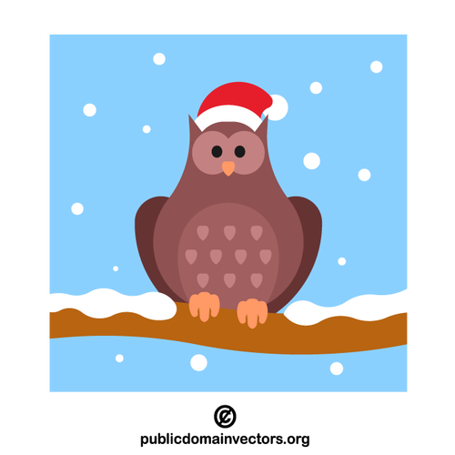 Christmas owl wearing Santa hat