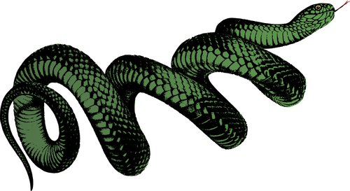 Cobra enrolada de verde