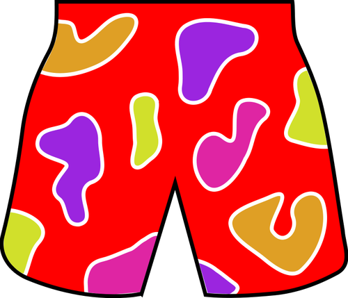 Colorful beach shorts vector image