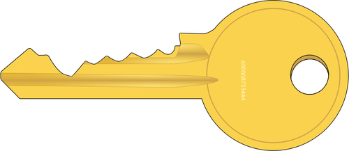 Cylinder lock key vector image