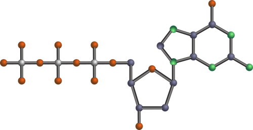 DNA-Molekül