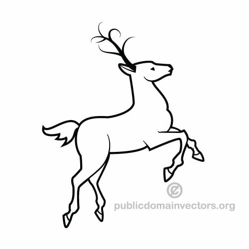 Deer vector image