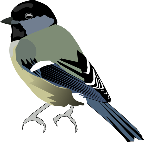 Vektor-Bild von farbigen Vogel mit grau vorne