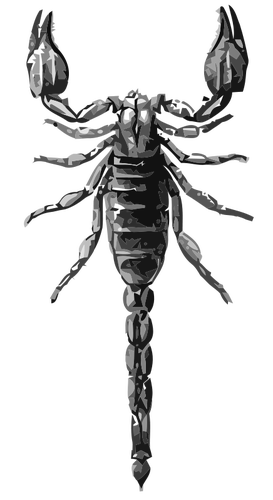 Scorpion šedotónové vektorové kreslení