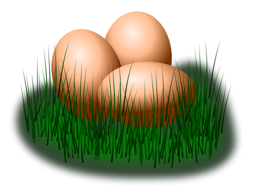 Ovos em imagem vetorial de grama