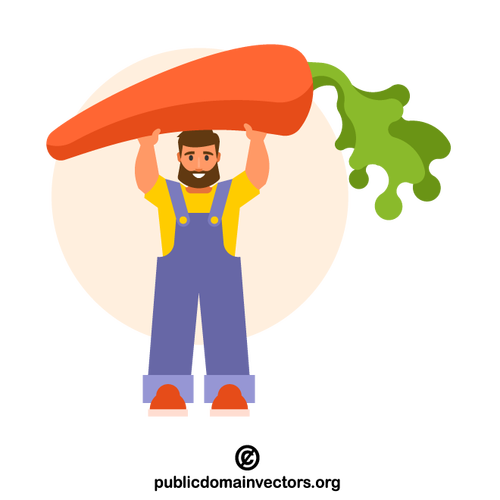 Agricultor segurando uma cenoura gigante