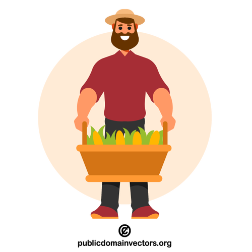 Farmář drží košík s kukuřicí
