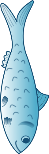 Gráficos vectoriales de pescado azul