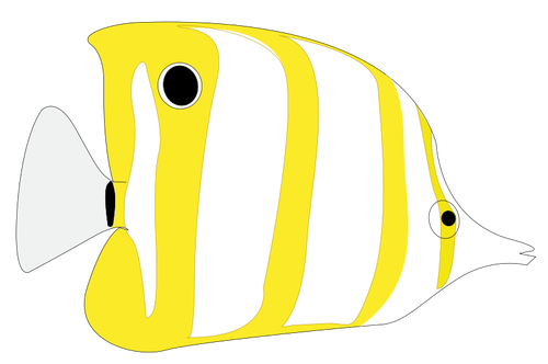 Image de poisson tropical jaune