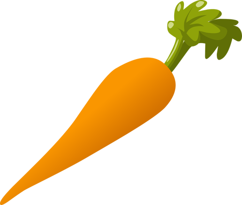 Vegetariano de cenoura