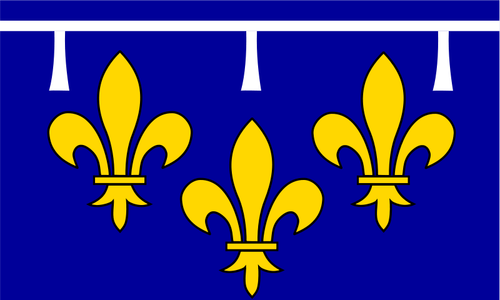 Bandera de región Orléanais vector dibujo