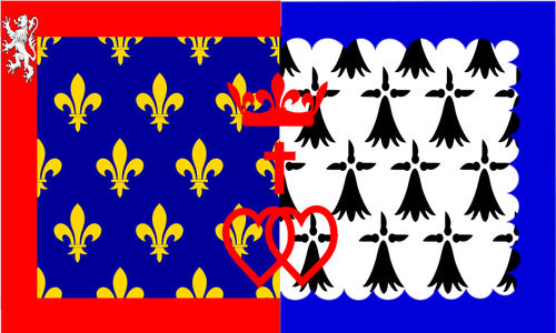 משלם דה לה לואר אזור בתמונה וקטורית דגל