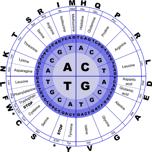 Genetisk kode vektor image
