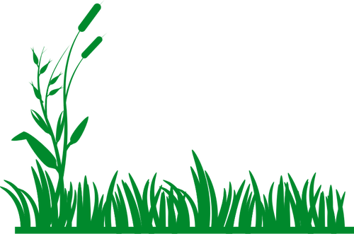 גרפיקה וקטורית של דשא רקע