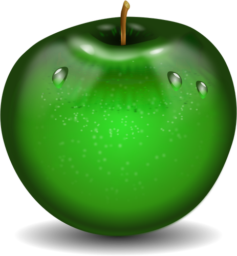 Vektor illustration av fotorealistiska grönt våta äpple