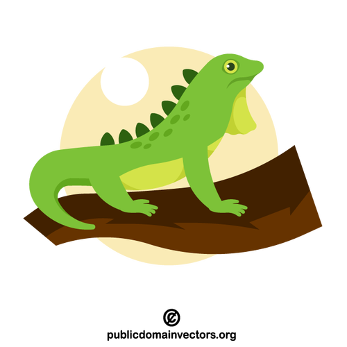 Reptilă iguană verde