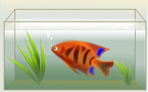 橙色的鱼在水族馆矢量图