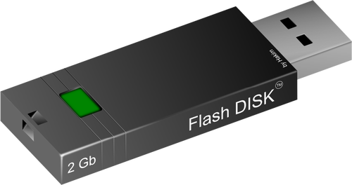 2GB flash disk vector image