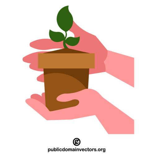 Mani che tengono un germoglio di pianta in vaso