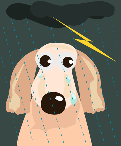 Cane triste sotto la pioggia