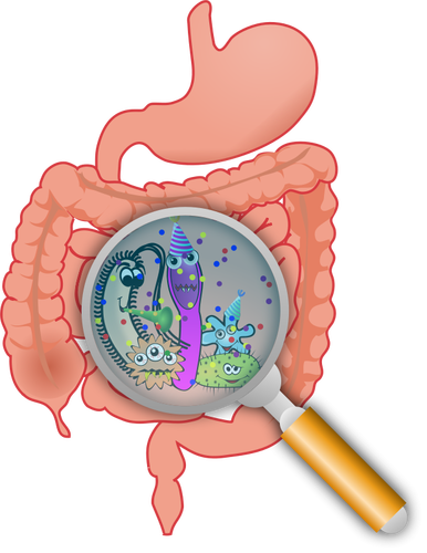 Party in the intestines vector illustration