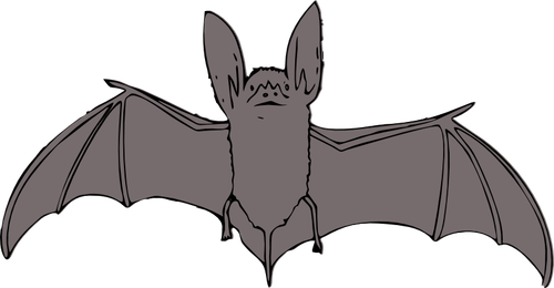 Bat mit offenen Flügeln Vektorgrafiken