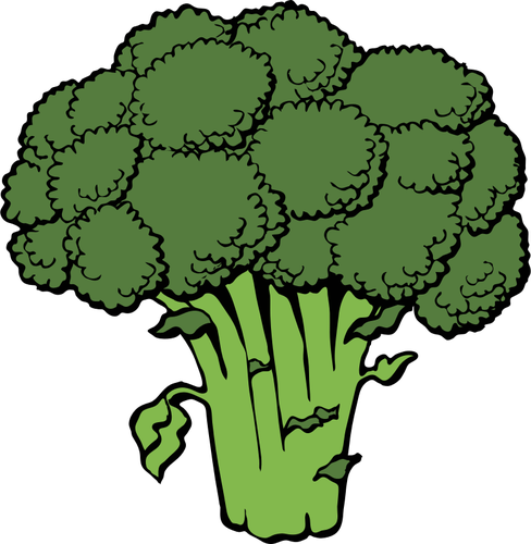Gambar vektor brokoli