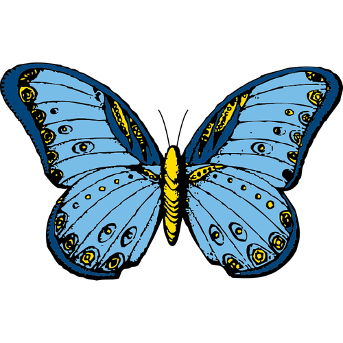 青と黄色の蝶ベクトル クリップ アート