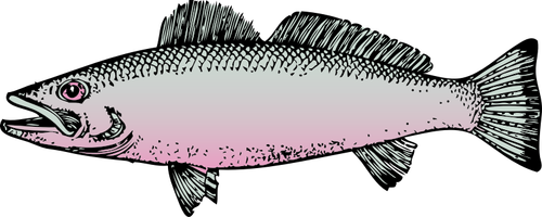 魚ベクトル グラフィック