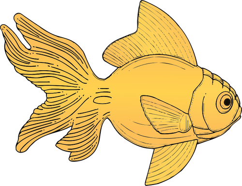 Pesce arancione generici vettoriale illustrazione