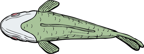 Ful fisk ovanifrån vektor illustration
