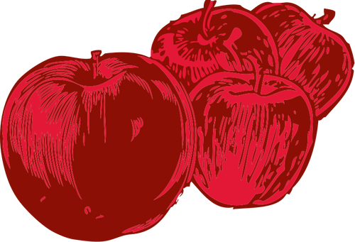 Vector de manzanas