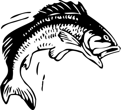 Sărituri peşte vector imagine