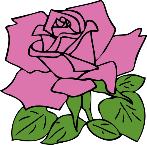 Disegno di rosa rosa vettoriale