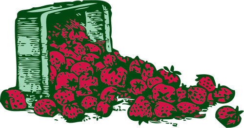 Strawberries vector